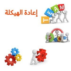 الصورة المصغرة للدورة